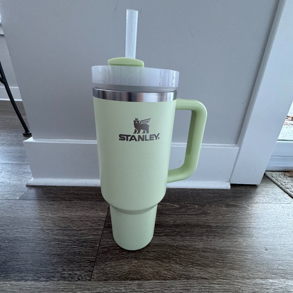 Stanley Quencher H2.0 40oz Tumbler | Light Green / Mint | Authentic
